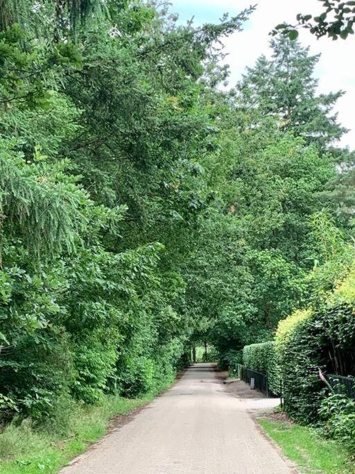 Op Boszicht Genieten Van De Rust & Natuur Putten Exteriér fotografie