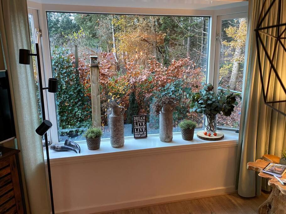 Op Boszicht Genieten Van De Rust & Natuur Putten Exteriér fotografie