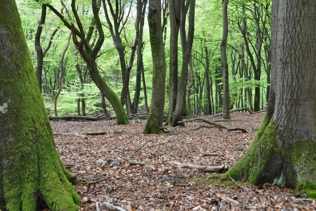 Op Boszicht Genieten Van De Rust & Natuur Putten Exteriér fotografie